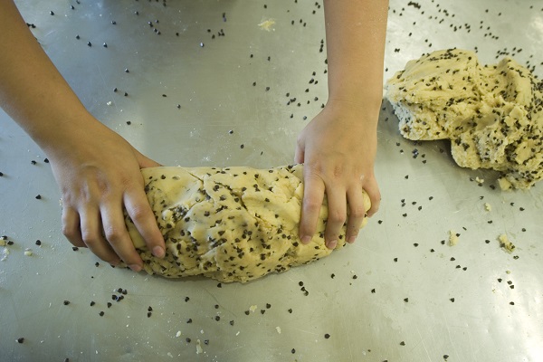 Pate navettes