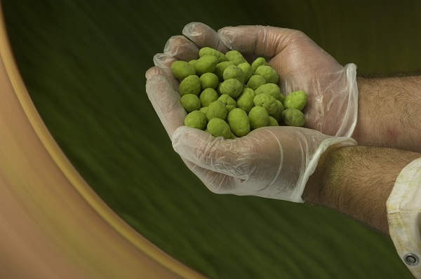 Finition des olives en chocolat