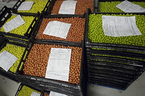 Olives par couleur